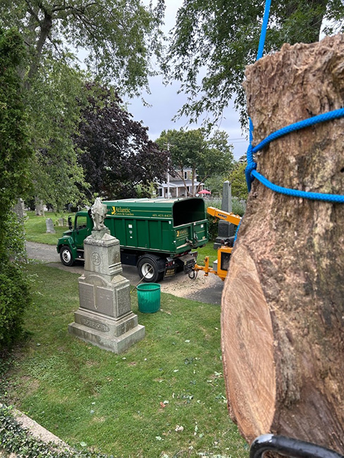 Cemetery tree servicing