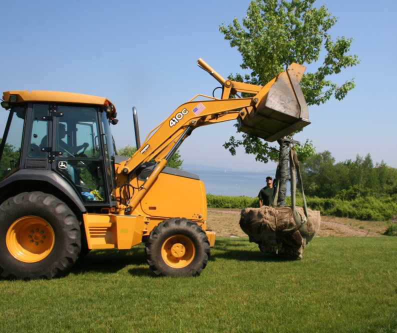 Planting & Transplanting